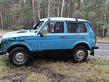 В Клепиковском районе перевернулась «Нива»