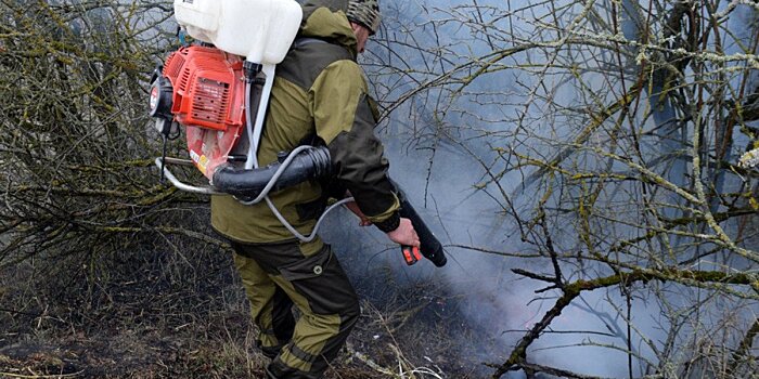 В Иркутской области потушены все лесные пожары