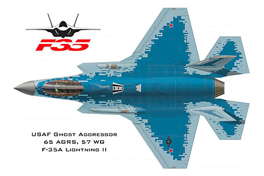 Опубликованы изображения замаскированного под российский истребитель F-35