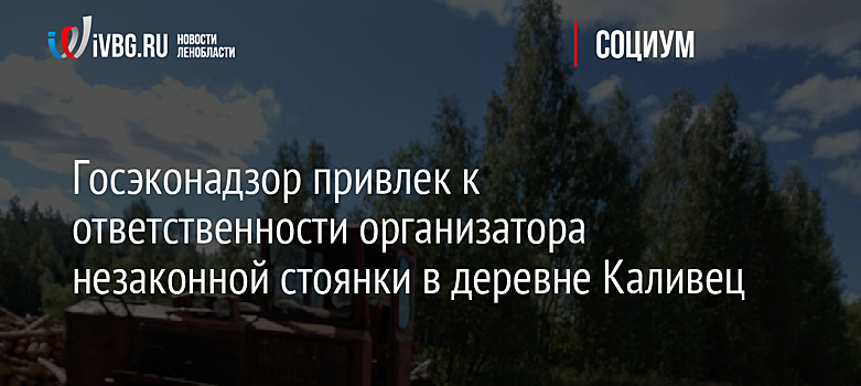 Госэконадзор привлек к ответственности организатора незаконной стоянки в деревне Каливец