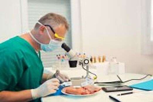 В свиных колбасах и полуфабрикатах обнаружен вирус гепатита Е
