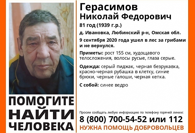 В Омской области продолжают массово пропадать грибники: из леса не вернулся 81-летний дедушка