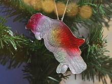 Профессор объяснил вред длинных новогодних праздников