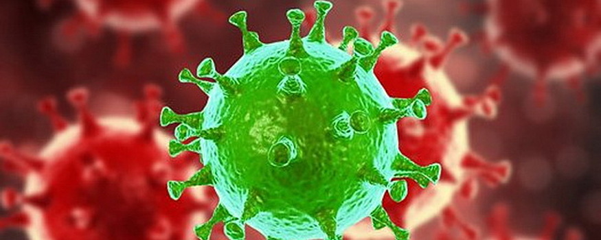 В Новосибирской области подтверждены 56 новых случаев коронавируса