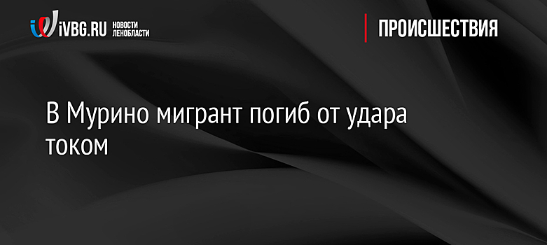 В Мурино мигрант погиб от удара током