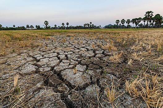 Миллиарды людей могут остаться без воды из-за климатического кризиса