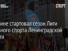 В Гатчине стартовал сезон Лиги школьного спорта Ленинградской области